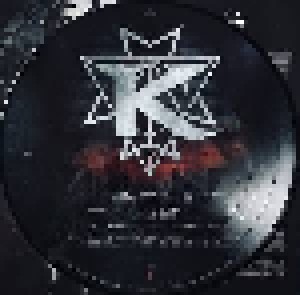 Kamelot: The Shadow Theory (2-PIC-LP) - Bild 5