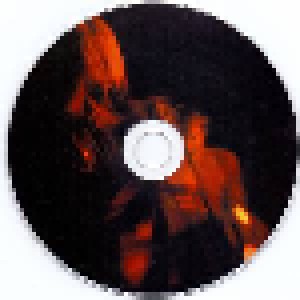 Bolz'n: Spalt>Funktion (CD) - Bild 3