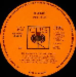 Big Brother & The Holding Company + Full Tilt Boogie Band: Joplin In Concert (Split-2-LP) - Bild 5