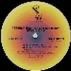 Steely Dan: Greatest Hits (2-LP) - Bild 8
