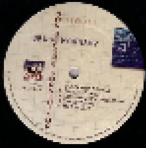 Bruce Hornsby: Non Secure Connection (LP) - Bild 3