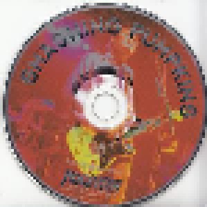 The Smashing Pumpkins: The Rockview Interviews (CD) - Bild 2