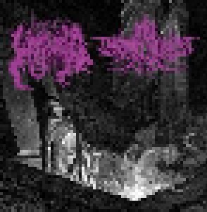 True Werwolf, The + Druadan Forest: Split (Split-LP) - Bild 1