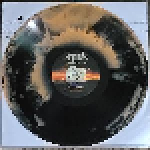 Anthrax: Persistence Of Time (4-LP) - Bild 7