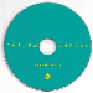 The Lemonheads: Varshons II (CD) - Bild 3