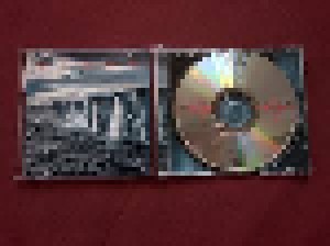 Pearl Jam: Gigaton (CD) - Bild 3