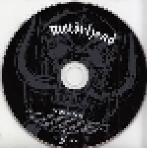 Motörhead: Rock'n'roll (2-CD) - Bild 3