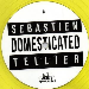 Sébastien Tellier: Domesticated (LP) - Bild 4