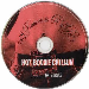 Hot Boogie Chillun: 18 Reasons to R'n'R (CD) - Bild 3