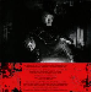 Black Magnet: Hallucination Scene (CD) - Bild 2