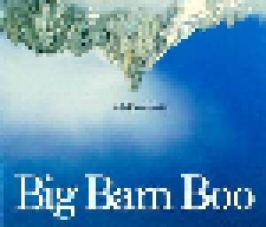 Cover - Big Bam Boo: Fell Off A Mountain