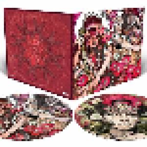 Baroness: Red Album (2-PIC-LP) - Bild 2
