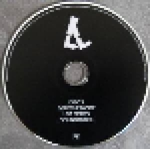 Depeche Mode: Spirits In The Forest (2-DVD + 2-CD) - Bild 5