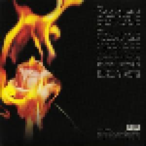 Dead Or Alive: Fan The Flame (Part1) (LP) - Bild 2