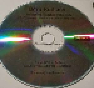 Born Ruffians: Permanent Hesitation (Promo-Single-CD) - Bild 3