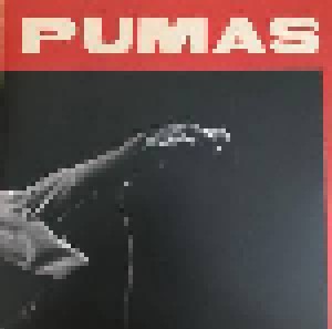 Black Pumas: Black Pumas (2-LP + 7") - Bild 6