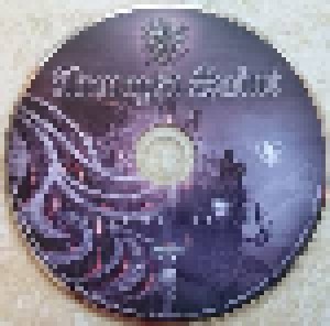 Armored Saint: Punching The Sky (CD) - Bild 7