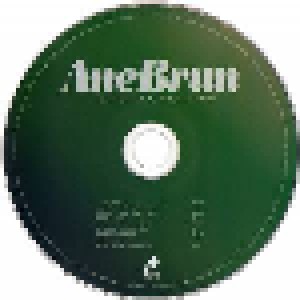 Ane Brun: After The Great Storm (CD) - Bild 2