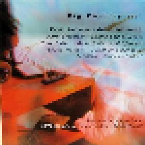 Big Country: Under Cover (CD) - Bild 4