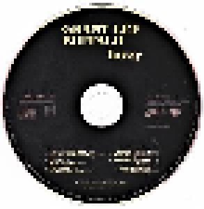 Grant Lee Buffalo: Fuzzy (CD) - Bild 3