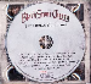 Black Stone Cherry: The Human Condition (CD) - Bild 3