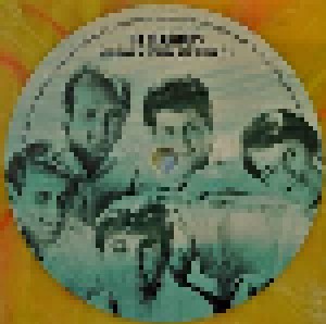 The Beach Boys: Surfin' Safari - The Original Debut Recording (LP) - Bild 5