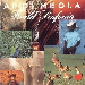 Al Di Meola: World Sinfonia (CD) - Bild 1