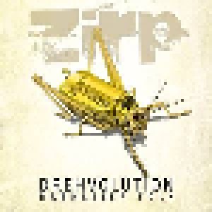 Cover - ZiRP: Drehvolution Drehleier Folk