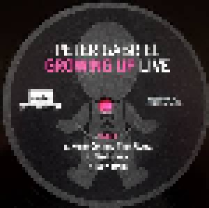Peter Gabriel: Growing Up Live (3-LP) - Bild 10