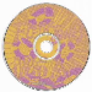 The Fleshtones: Hitsburg Revisited (CD) - Bild 3