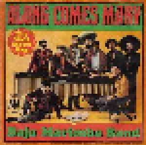 The Baja Marimba Band: Along Comes Mary - Cover