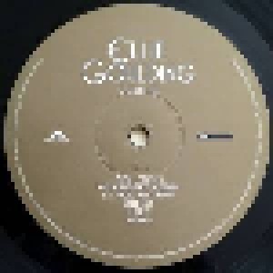 Ellie Goulding: Lights (2-LP) - Bild 4