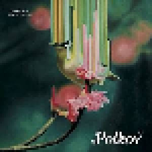 Polkov: Polkov (CD) - Bild 1
