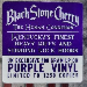 Black Stone Cherry: The Human Condition (LP) - Bild 3