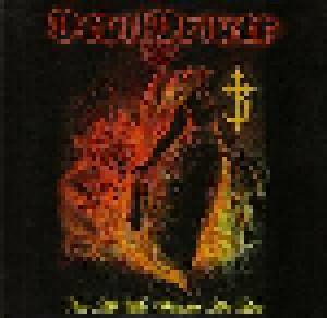 DevilDriver: Not All Who Wander Are Lost (Promo-Single-CD) - Bild 1