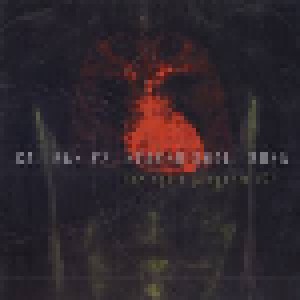 Caliban + Heaven Shall Burn: The Split Program 12" (Split-LP) - Bild 1