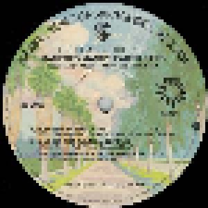 Manfred Mann's Earth Band: The Roaring Silence (LP) - Bild 3