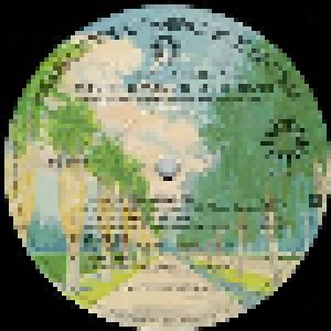Manfred Mann's Earth Band: The Roaring Silence (LP) - Bild 4