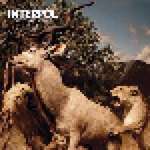 Interpol: Our Love To Admire (2-LP) - Bild 1