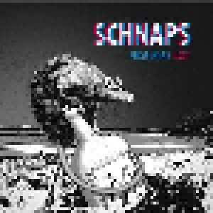 Cover - Schnaps: Perspektive: Lost