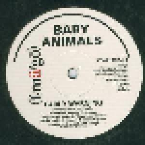 Baby Animals: Early Warning - Cover