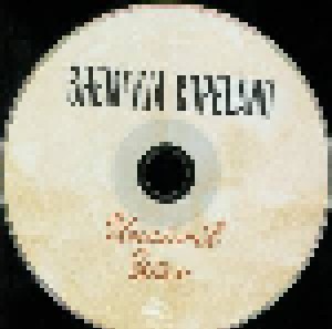 Shemekia Copeland: Uncivil War (CD) - Bild 3