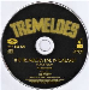 The Tremeloes: Suddenly You Love Me - The Complete 1968 Sessions (2-CD) - Bild 4