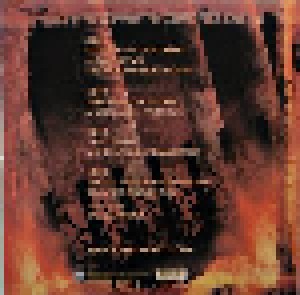 Amon Amarth: The Crusher (2-LP) - Bild 2