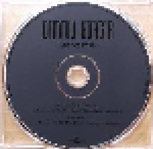 Dimmu Borgir: Vredesbyrd (Single-CD) - Bild 4