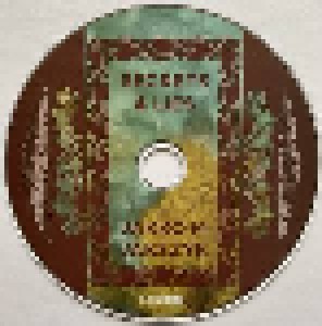 Jakko M. Jakszyk: Secrets & Lies (LP + CD) - Bild 9