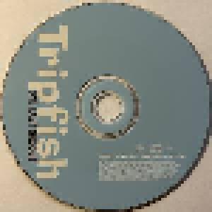 Tripfish: One Last Groove (Single-CD) - Bild 3