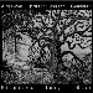 Bannwald + Uruk-Hai + Druadan Forest: Kingdoms Long Gone (Split-CD) - Bild 1