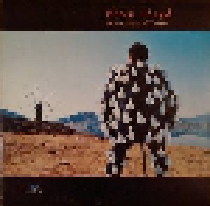 Pink Floyd: Delicate Sound Of Thunder (2-LP) - Bild 1