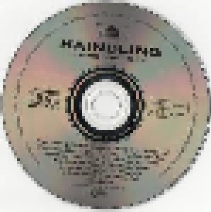 Haindling: Speck (1982-1992) (CD) - Bild 3